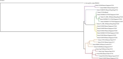 In silico Prediction of New Drug Candidates Against the Multidrug-Resistant and Potentially Zoonotic Fish Pathogen Serotype III Streptococcus agalactiae